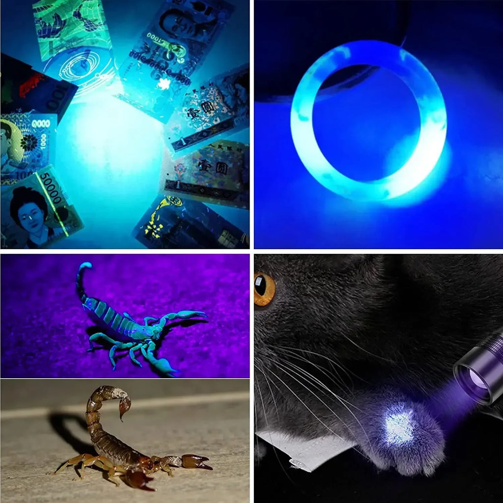 Lampe torche UV et lumière forte rechargeable USB - Lanterne de camping - Détecteur de minéraux - Lampe torche LED ultraviolette à lumière noire