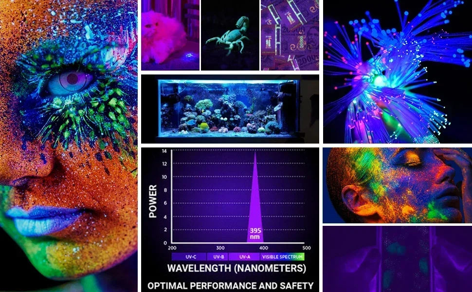 Lampe torche UV et lumière forte rechargeable USB - Lanterne de camping - Détecteur de minéraux - Lampe torche LED ultraviolette à lumière noire