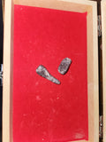 Lepidolite